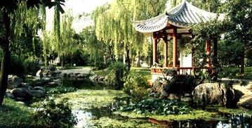 成都人民公园爆料视频,惊现神秘事件引众议